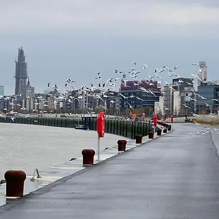 Lägenhet Luxe-appartement Aan De Schelde